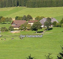 Der Oehlershof