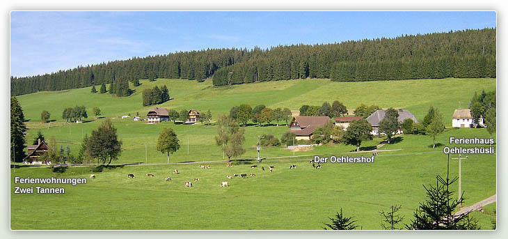Schollach