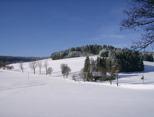 Winter im Tal