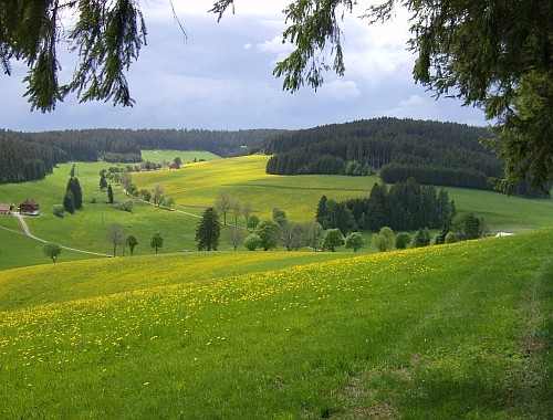 In dieser Landschaft steht Ihr Ferienhaus, rechts im Bild ist das Dach zu erkennen. (weißer Fleck) In dieser Landschaft steht Ihr Ferienhaus, rechts im Bild ist das Dach zu erkennen. (weißer Fleck)