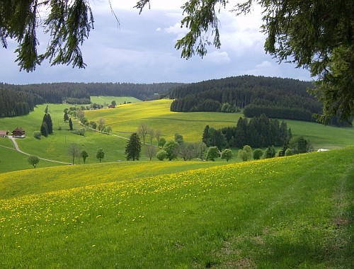 In dieser Landschaft steht Ihr Ferienhaus, rechts im Bild ist das Dach zu erkennen. (weißer Fleck)