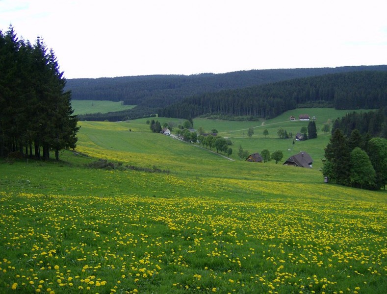 Landschafsbild. Ferienhaus lings im Bild mit weiser Wand